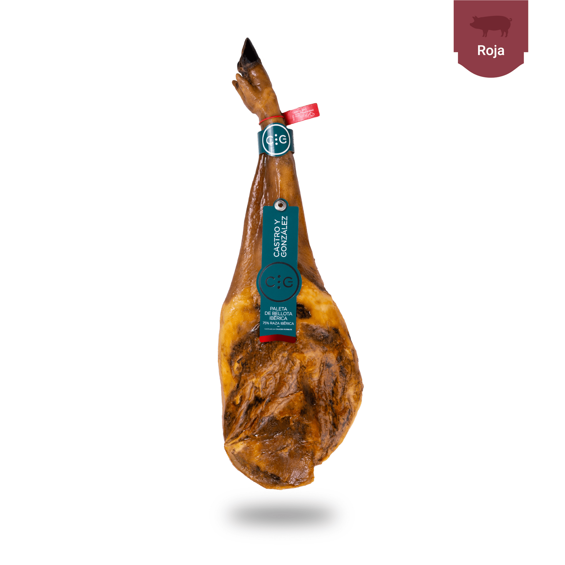 paletadebellotaiberica-860