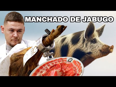 Cargar vídeo: