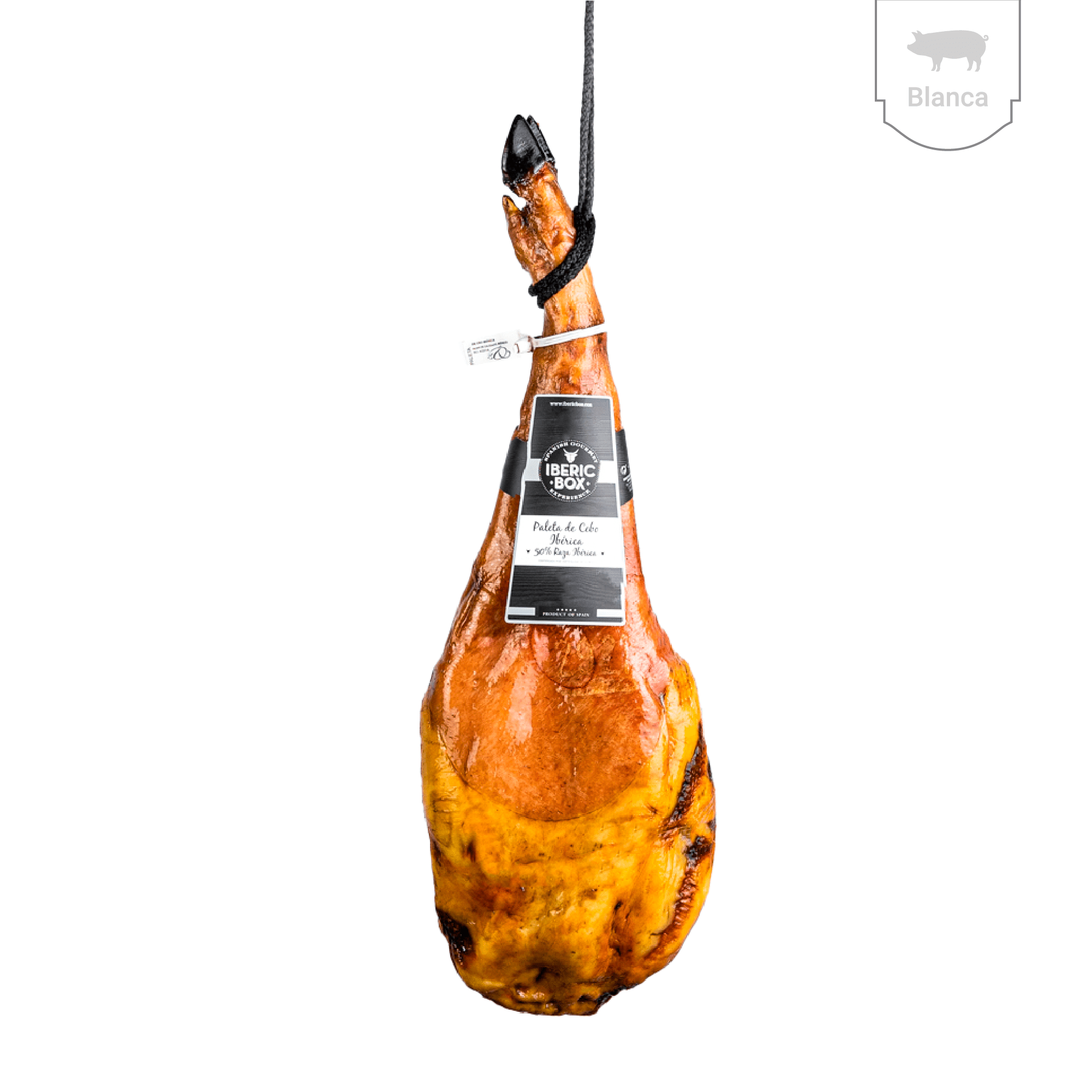 paleta-de-cebo-50-iberica-sierra-de-aracena-726