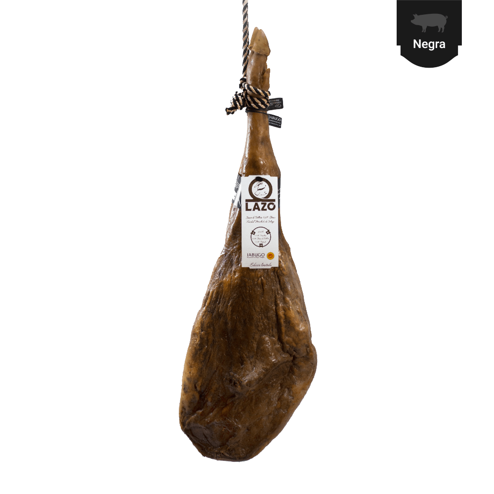 jamon-de-bellota-100-iberico-manchado-de-jabugo-1012