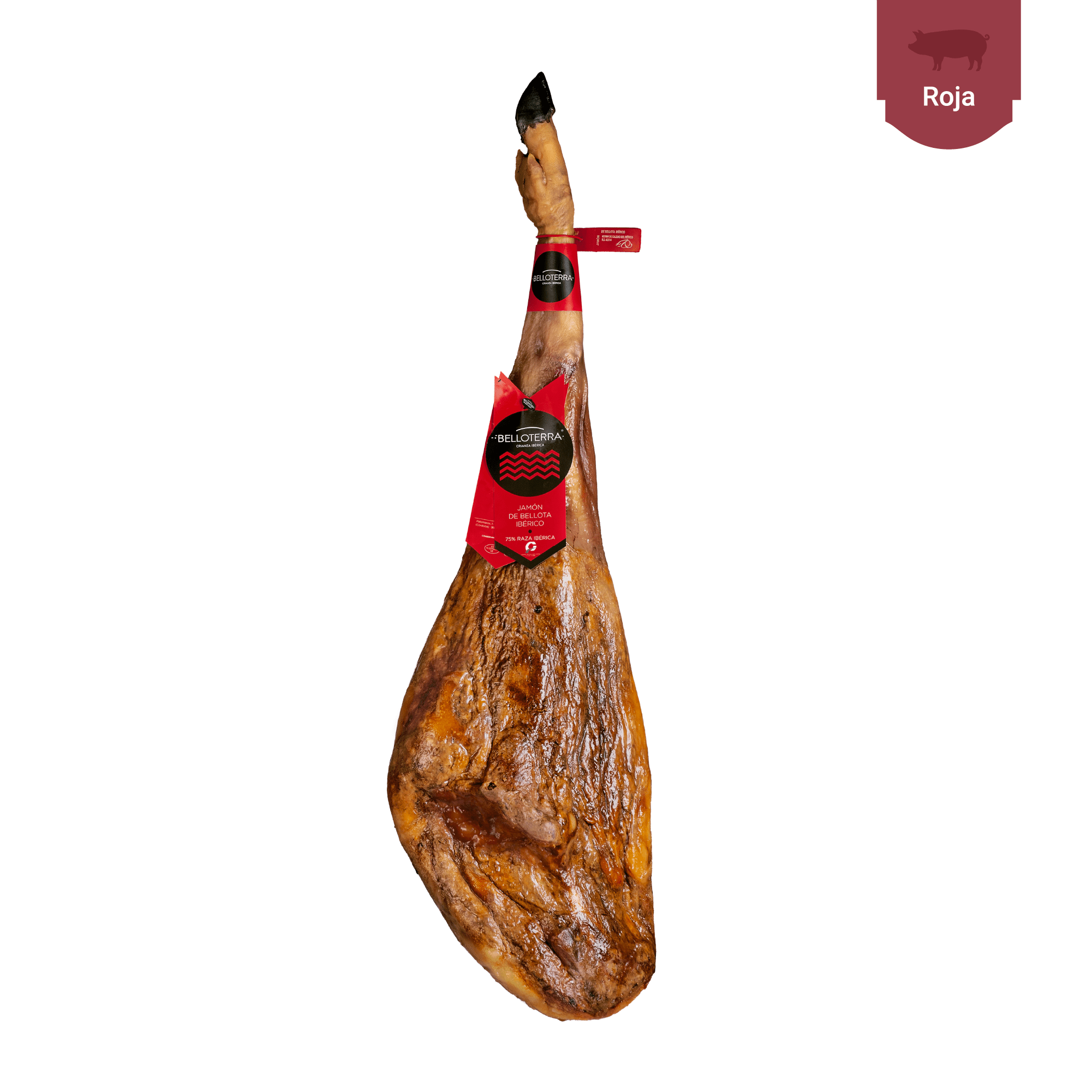 jamon-de-bellota-713