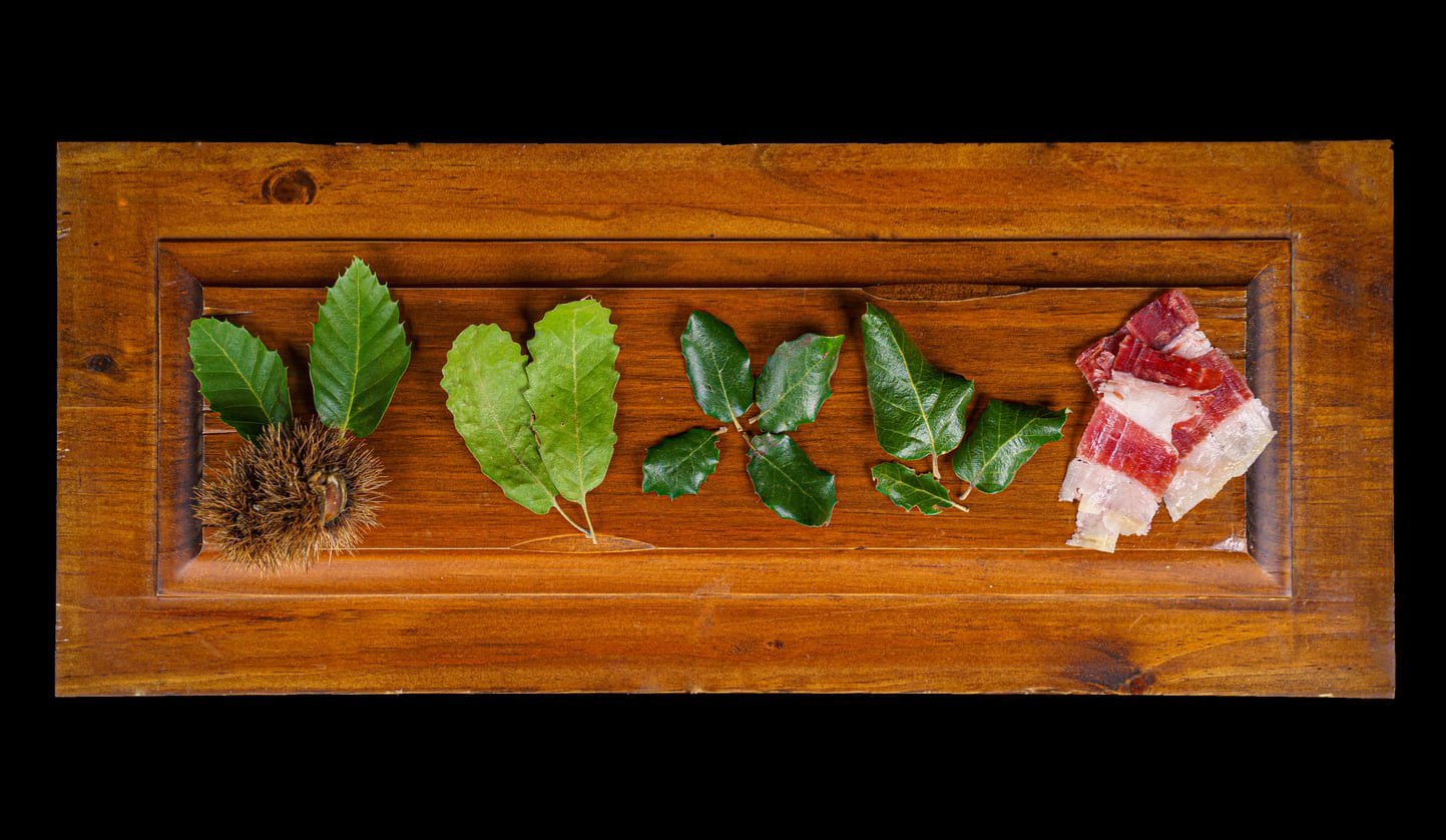 Jamón de bellota 100% ibérico | Ibéricos Langenal