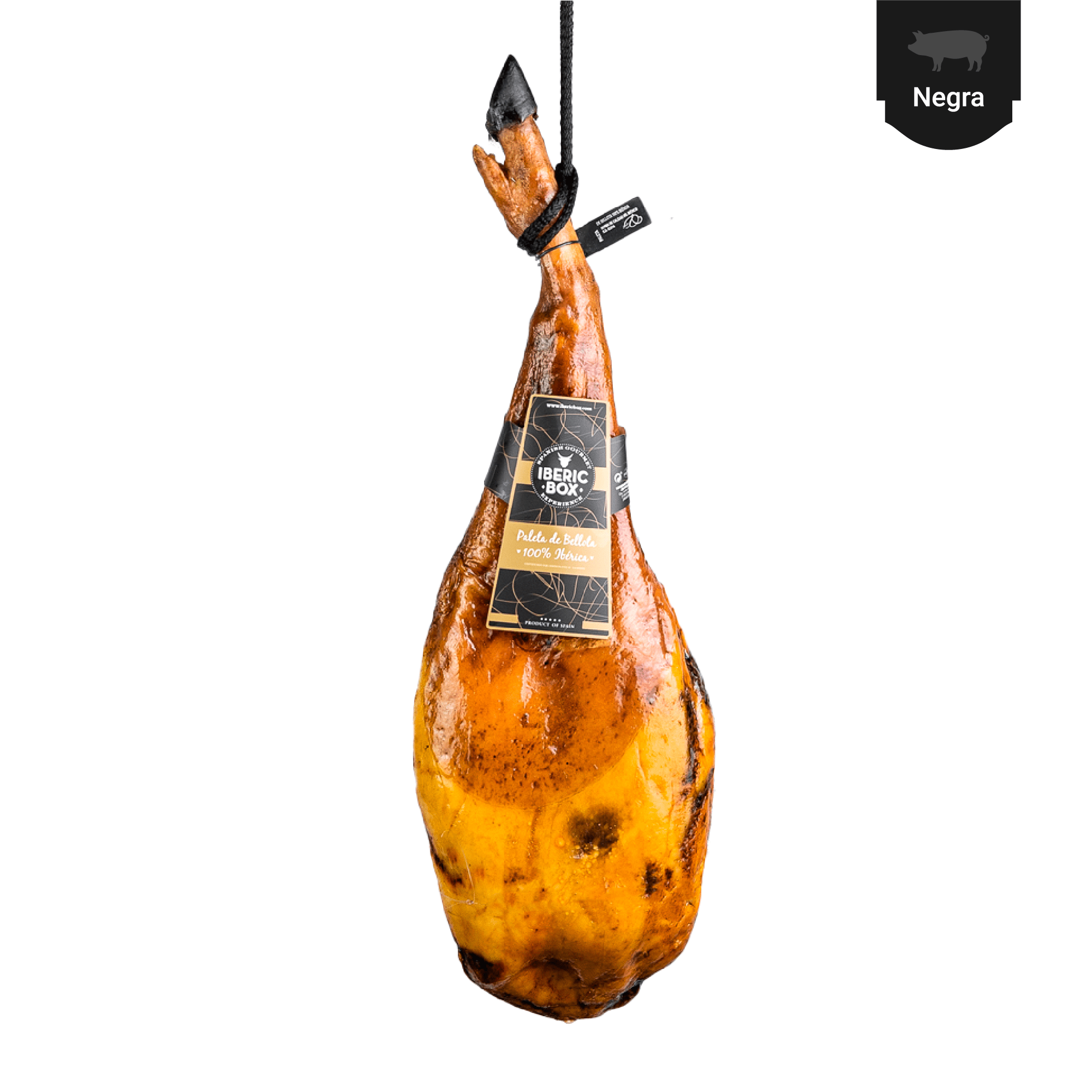paleta-de-bellota-100-iberica-sierra-de-aracena-722