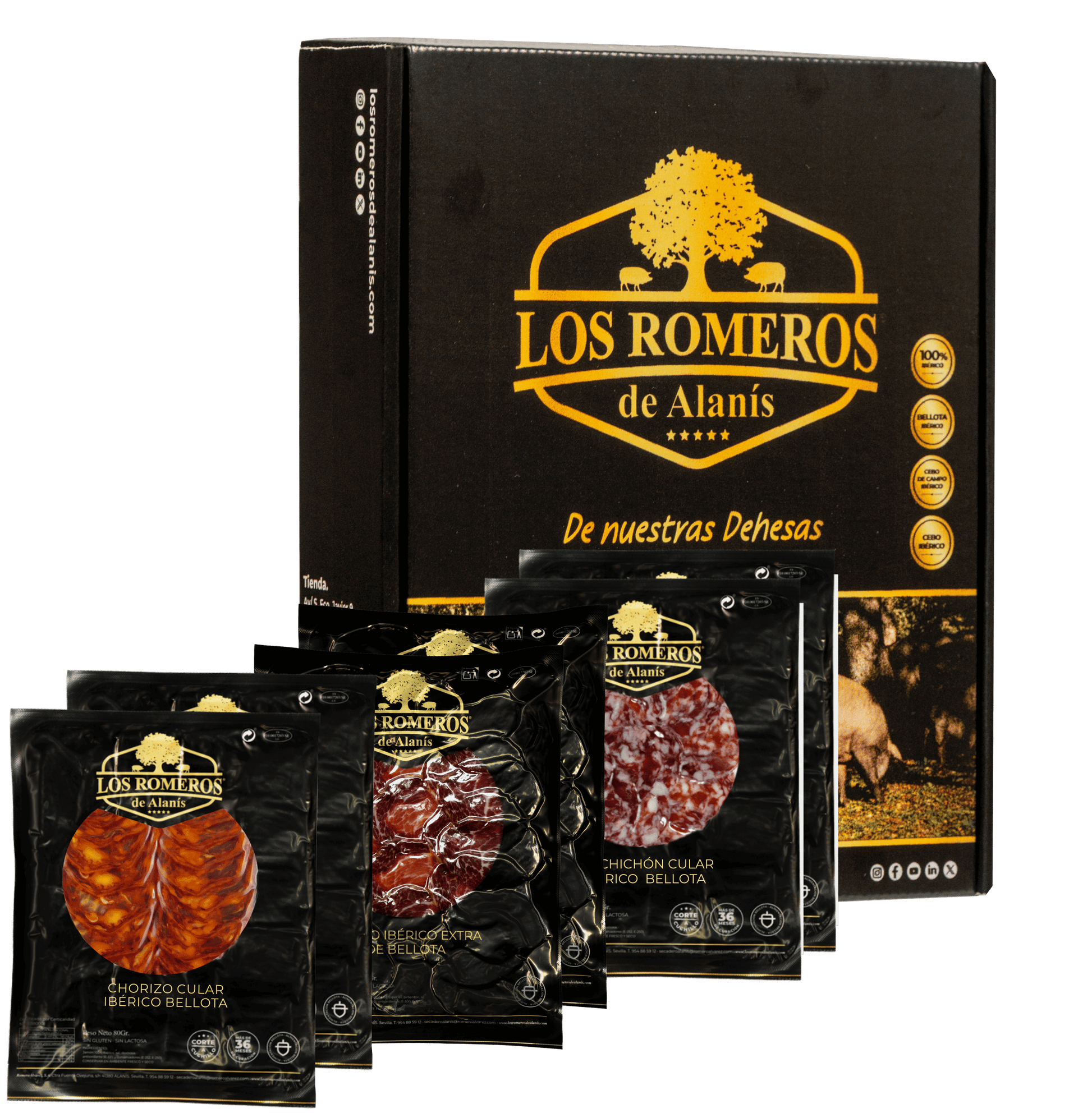 pack-verano-los-romeros-de-alanis-1781