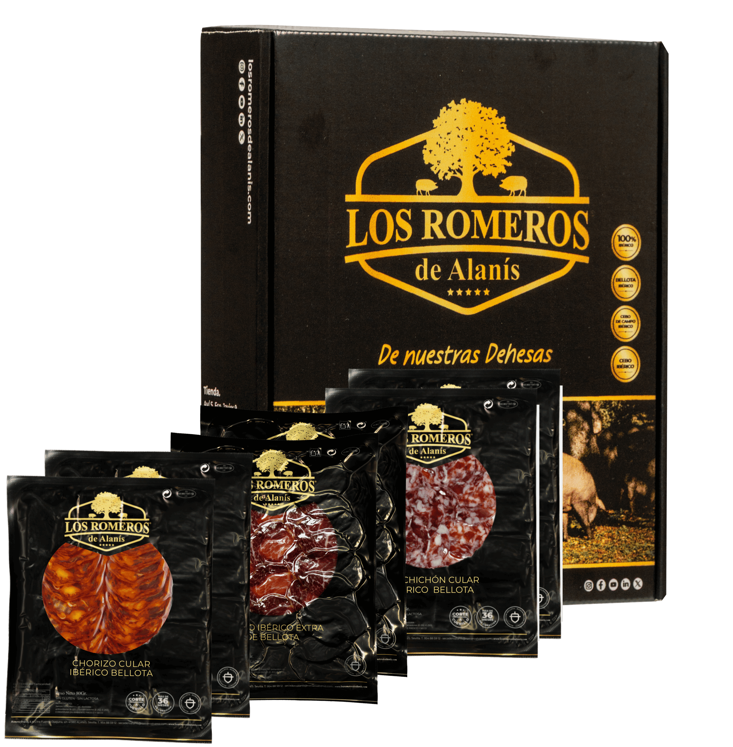 pack-verano-los-romeros-de-alanis-1781