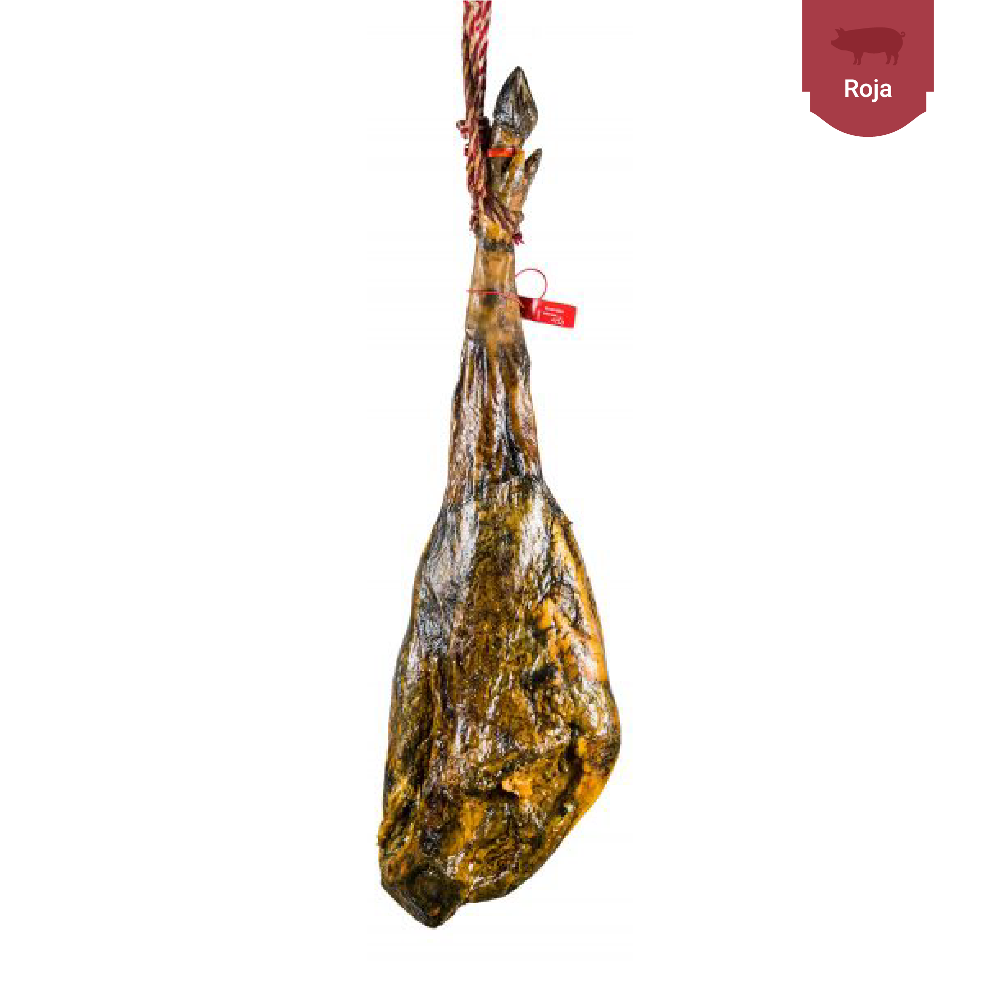 jamon-de-bellota-iberico-50-raza-iberica-734