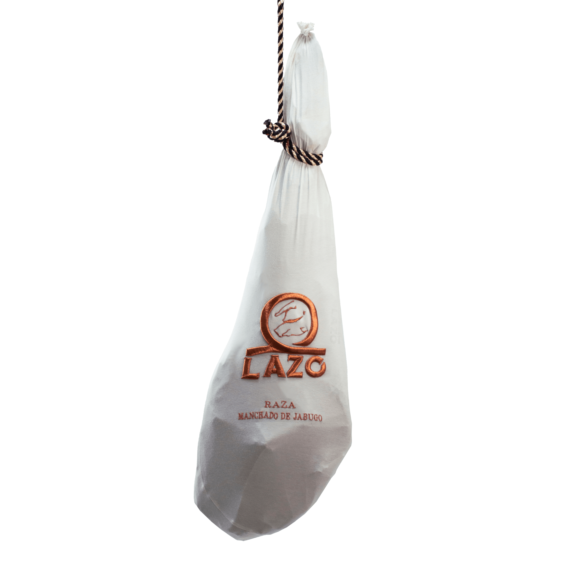 jamon-de-bellota-100-iberico-manchado-de-jabugo-1013