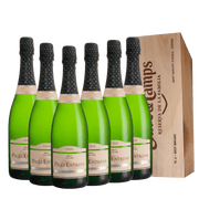 Brut Nature Gran Reserva 2018 botellas 6 | Pagès Entrena