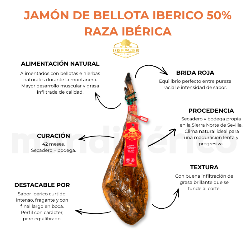Jamón de Bellota Ibérico 50% raza ibérica | Los Romeros de Alanís