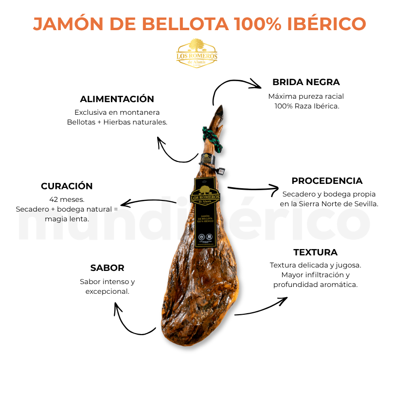 Jamón de Bellota 100% Ibérico | Los Romeros de Alanís