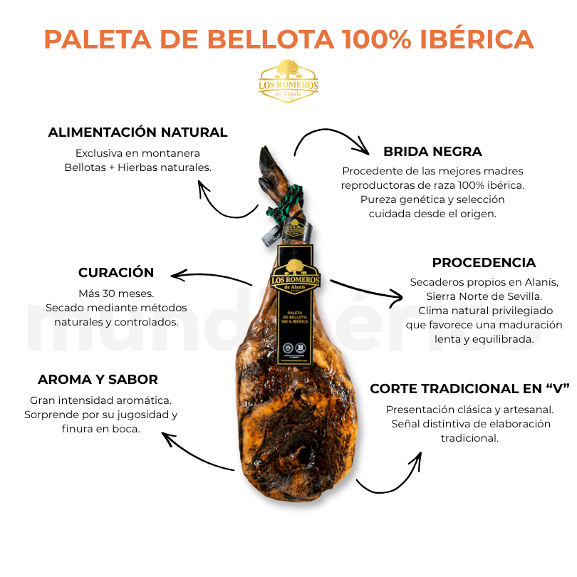 Paleta de Bellota 100% Ibérica | Los Romeros de Alanís