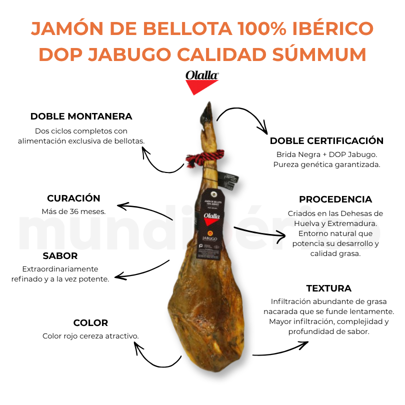 Jamón de Bellota 100% Ibérico DOP Jabugo Calidad Súmmum | Olalla