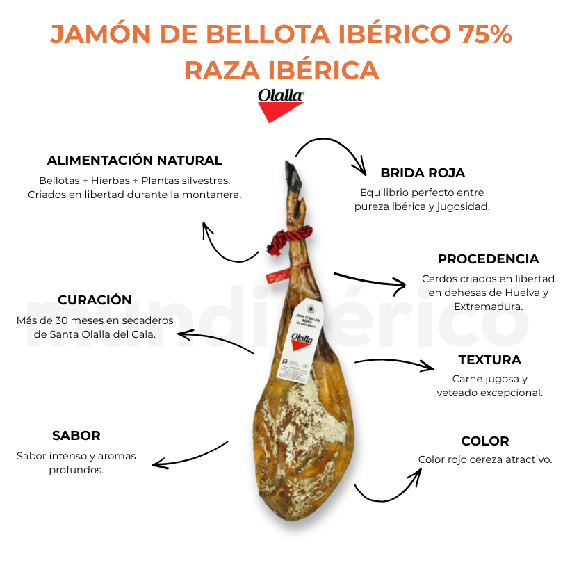 Jamón de Bellota Ibérico 75% Raza Ibérica | Olalla