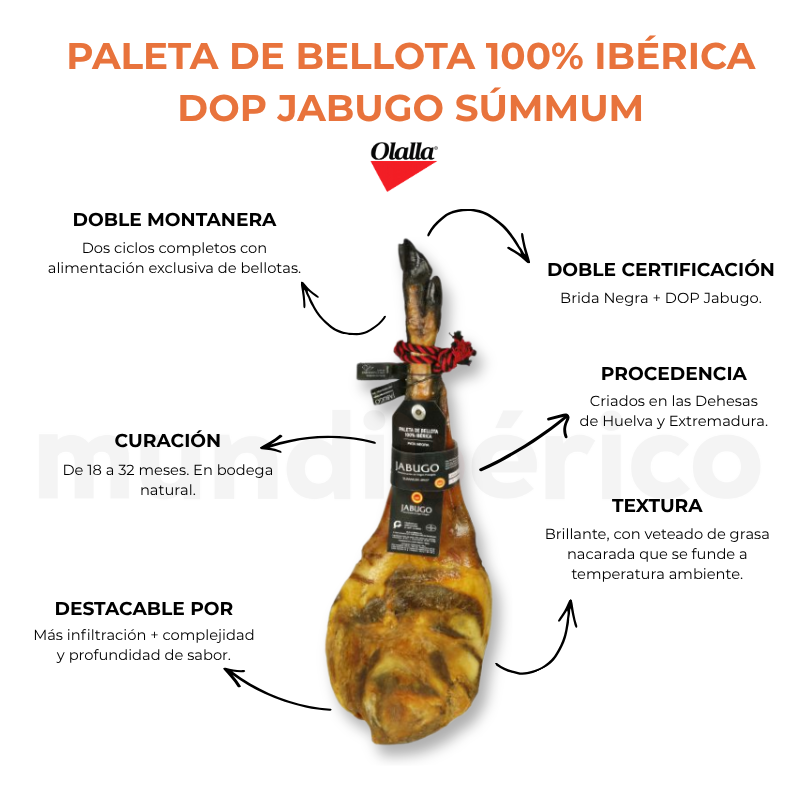Paleta bellota 100% ibérica D.O.P Jabugo Summum | Olalla