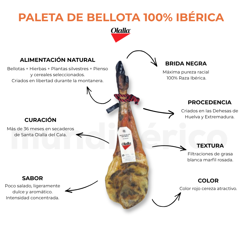 Paleta de Bellota 100% Ibérica | Olalla