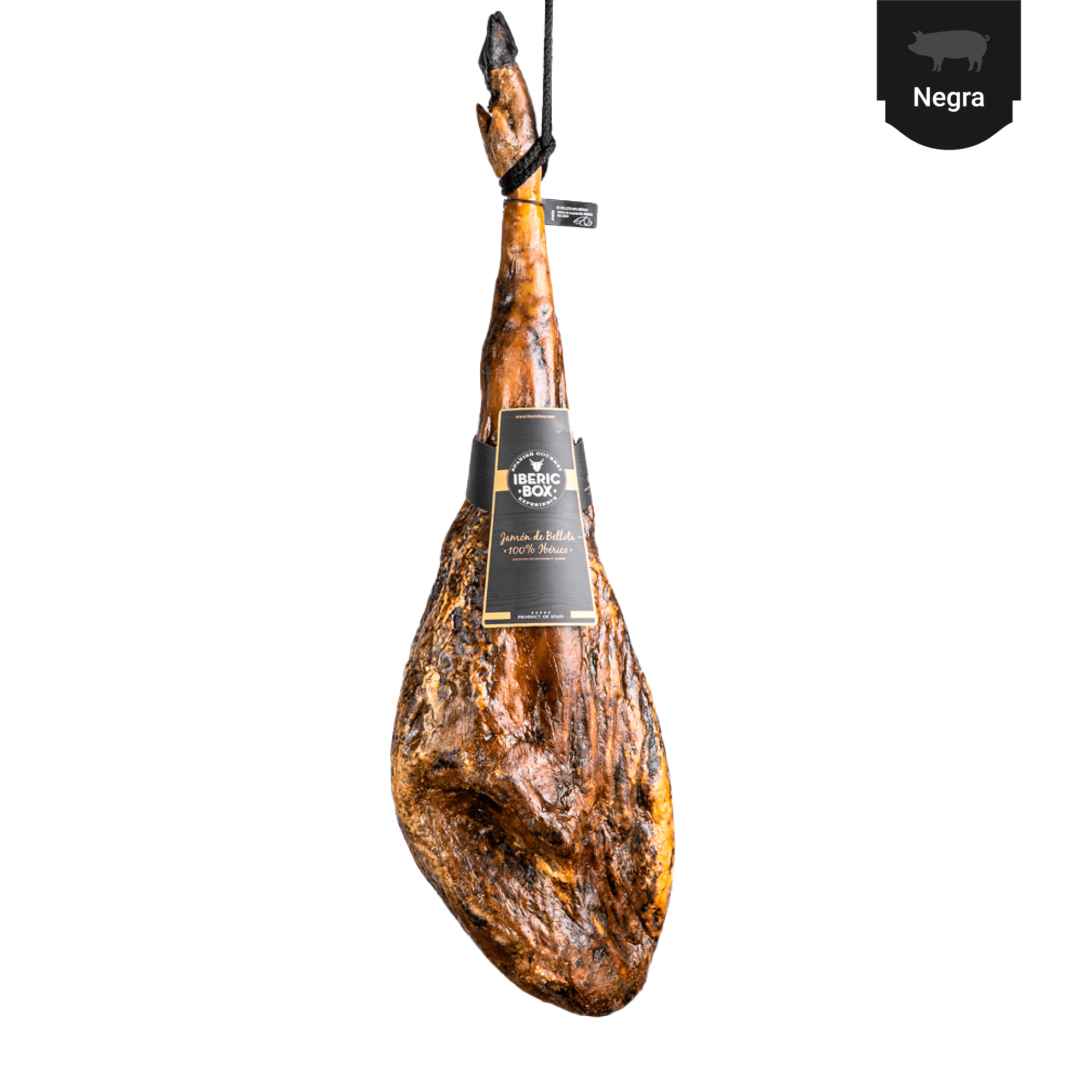 jamon-de-bellota-100-iberico-sierra-de-aracena-719