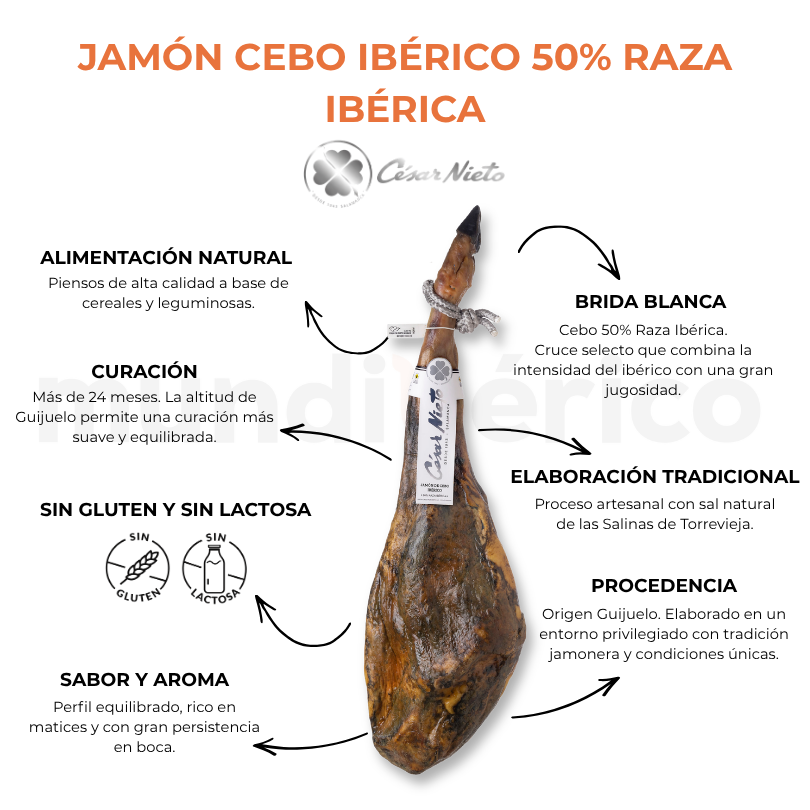 Jamón Cebo Ibérico 50% Raza Ibérica de 7 a 7,5 kg | César Nieto
