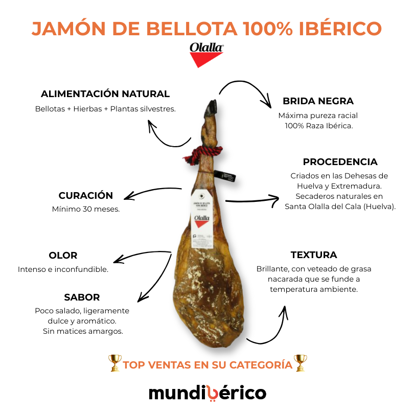Jamón de Bellota 100% Ibérico | Olalla