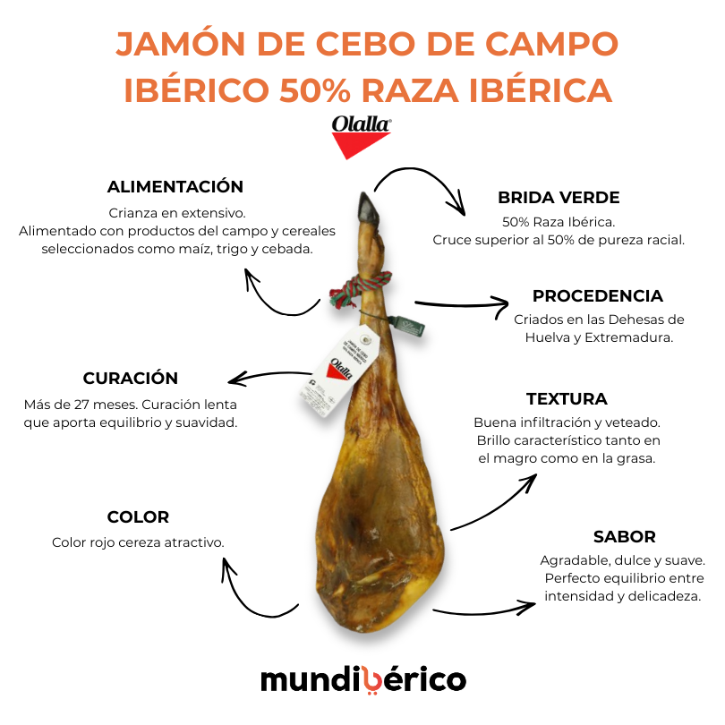 Jamón de Cebo de Campo Ibérico 50% Raza Ibérica | Olalla