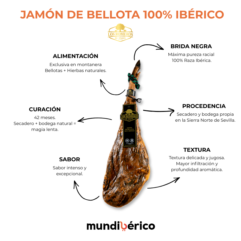 Jamón de Bellota 100% Ibérico | Los Romeros de Alanís
