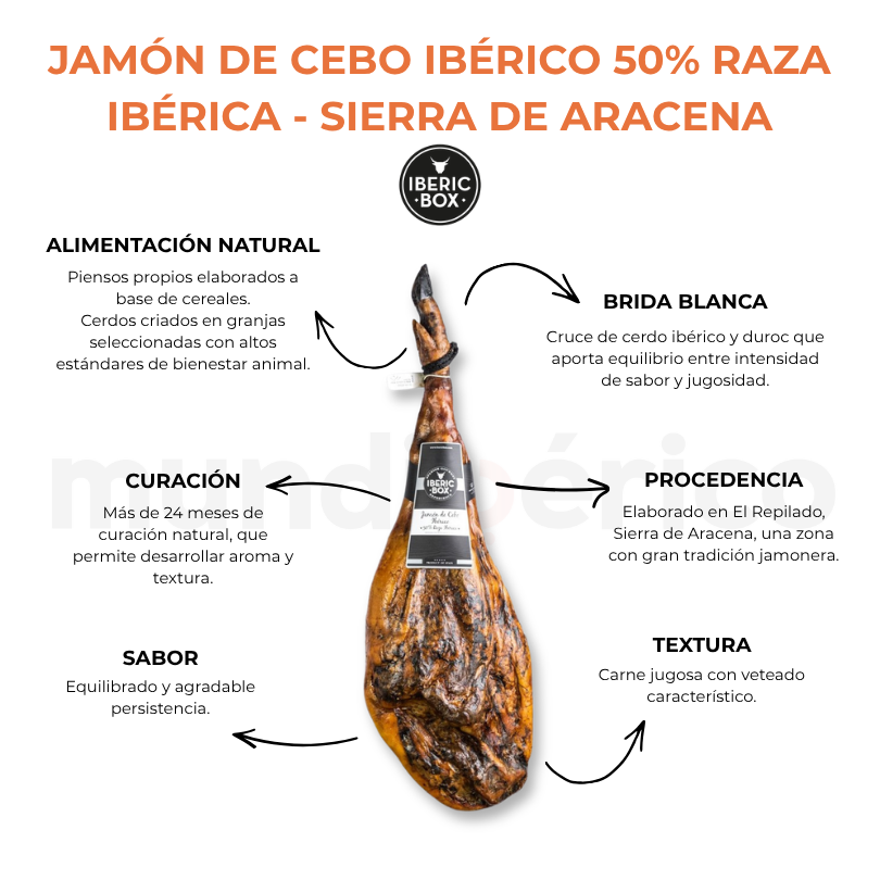 Jamón de Cebo Ibérico 50% raza ibérica - Sierra de Aracena (7,5-8,5 kg) | Iberic Box