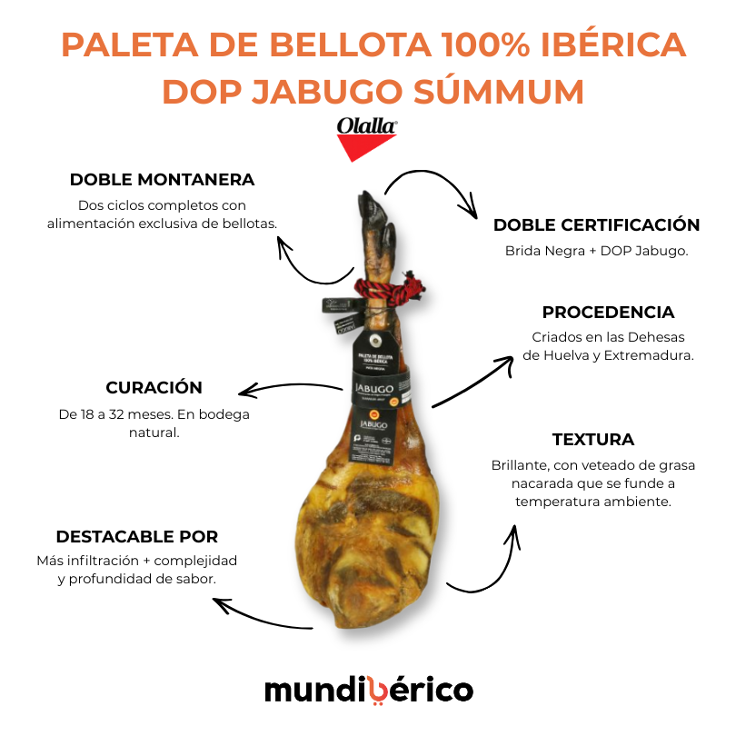 Paleta bellota 100% ibérica D.O.P Jabugo Summum | Olalla