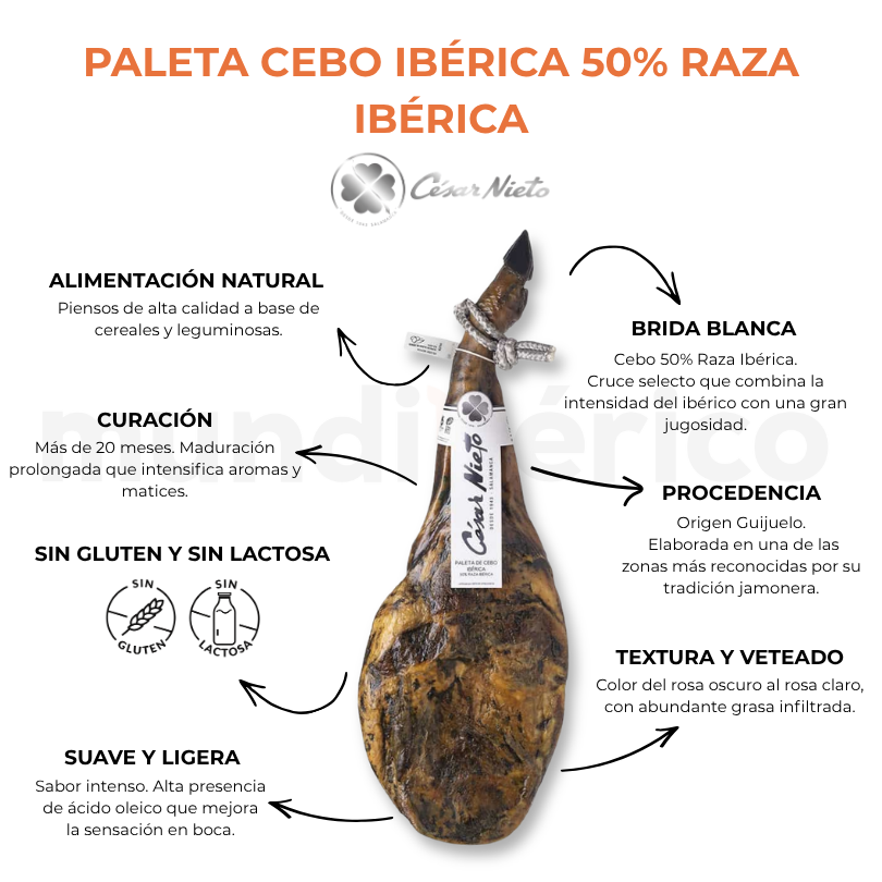 Paleta Cebo Ibérica 50% Raza Ibérica | César Nieto