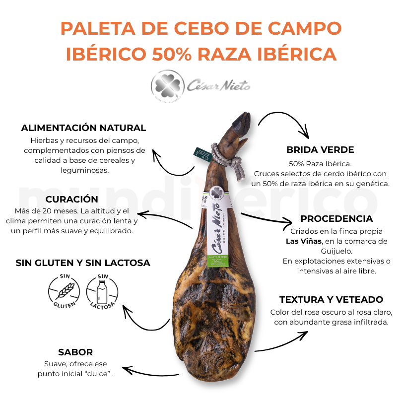 Paleta de Cebo de Campo Ibérico 50% Raza Ibérica | César Nieto