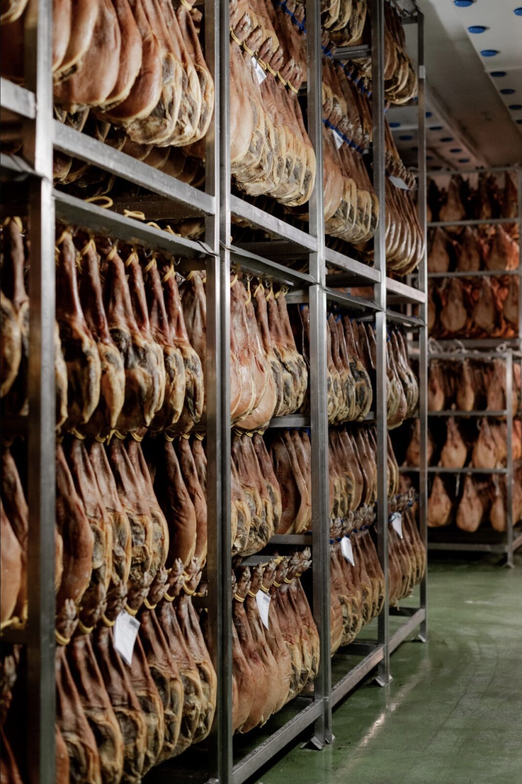 Jamón de Teruel D.O.P. Gran Premier | Aire Sano
