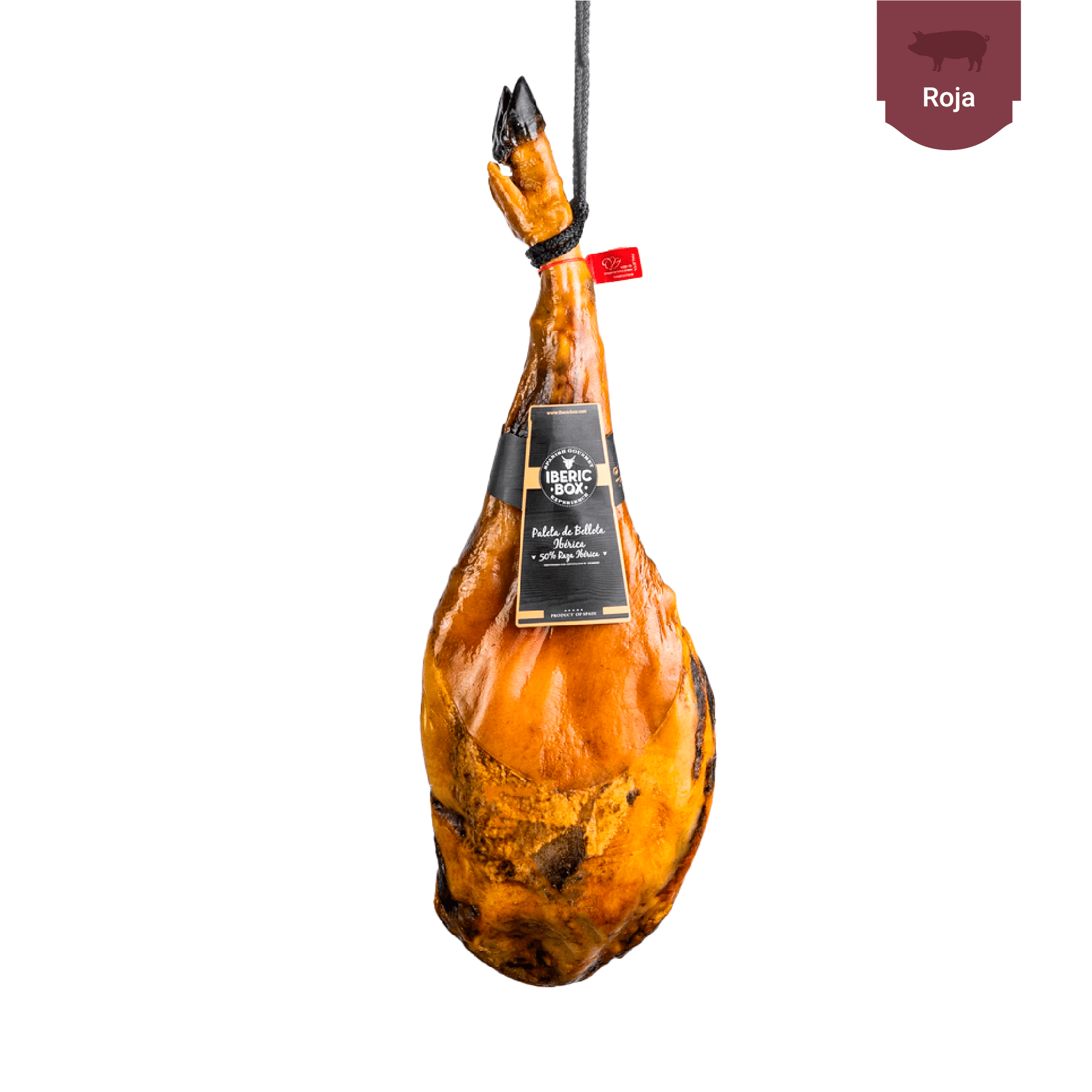 paleta-de-bellota-50-iberica-sierra-de-aracena-724
