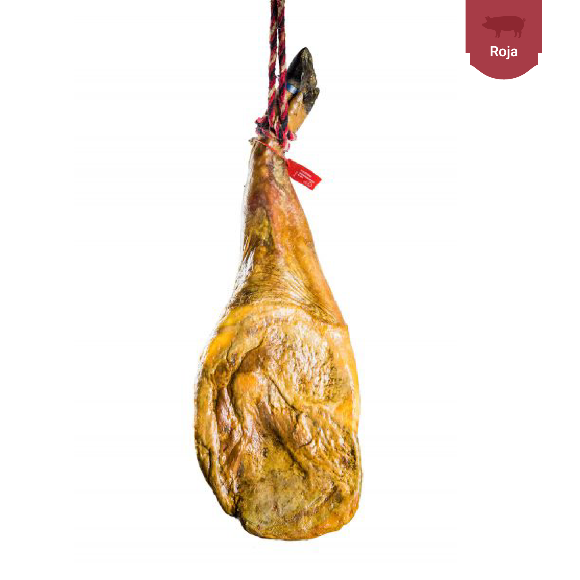 paleta-de-bellota-iberica-50-raza-iberica-965