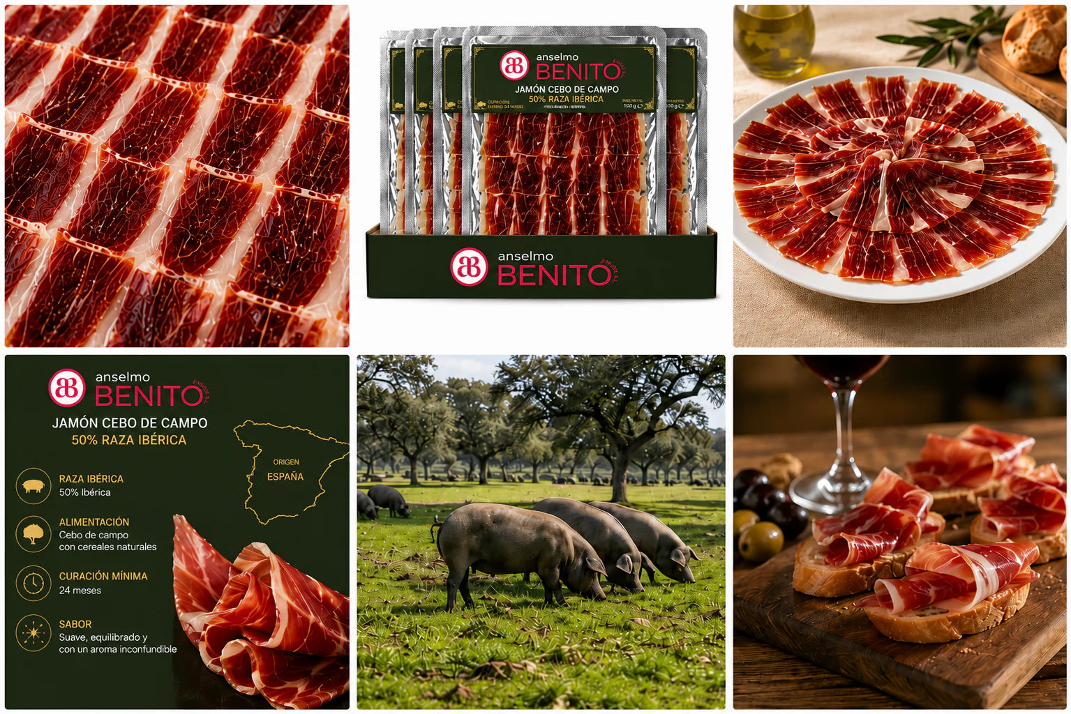 Pack 10 Blísters Jamón de Cebo de Campo 50% Raza Ibérica | Anselmo Benito