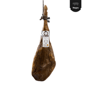 jamon-de-bellota-100-iberico-manchado-de-jabugo-1012